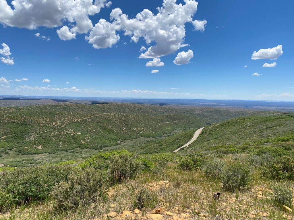 Road Trip Mesa Verde